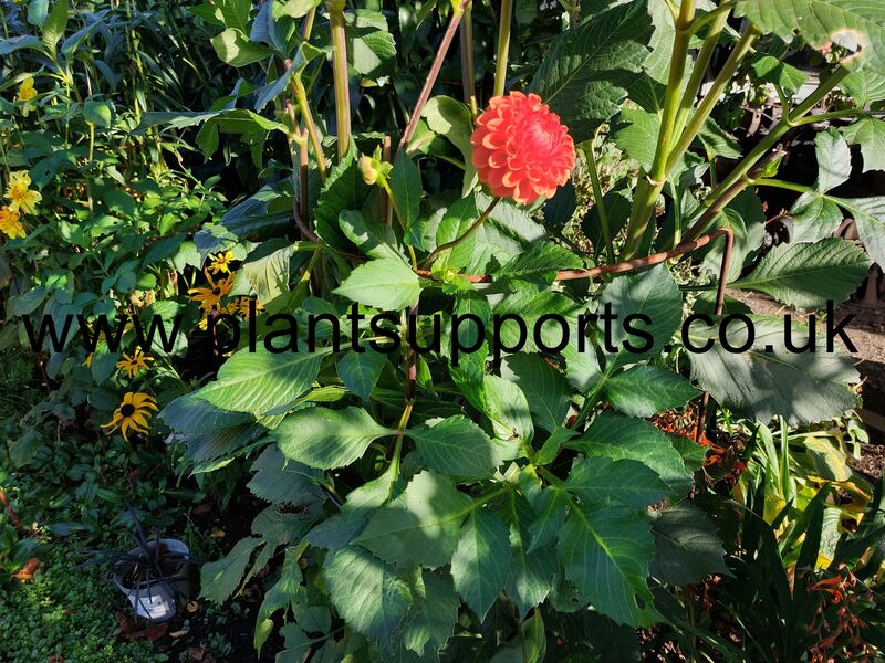 Arc pack of 4 42cm x 99cm A0026 Arc pack of 4 42cm x 99cm A0026